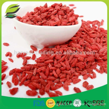 EU standard high quality dried goji berries